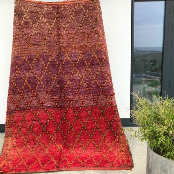 Cosa kolleksjon av marokkanske tepper. Type Talsint.