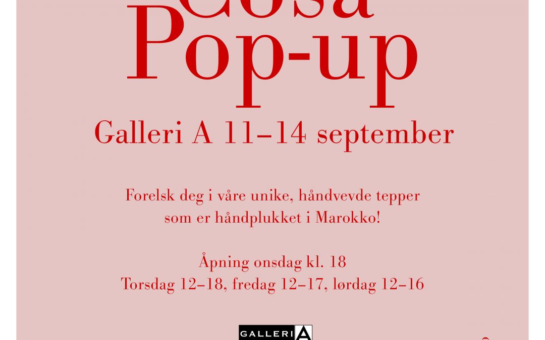 Pop Up shop Oslo