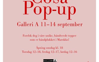 Pop Up shop Oslo