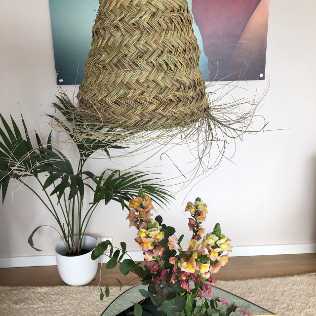 cosa-kurv-lampe