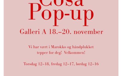 POP-UP shop Oslo
