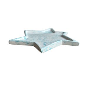 Star Plate Aqua