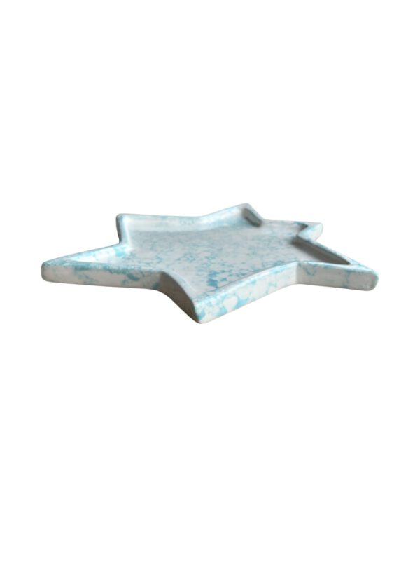 Star Plate Aqua