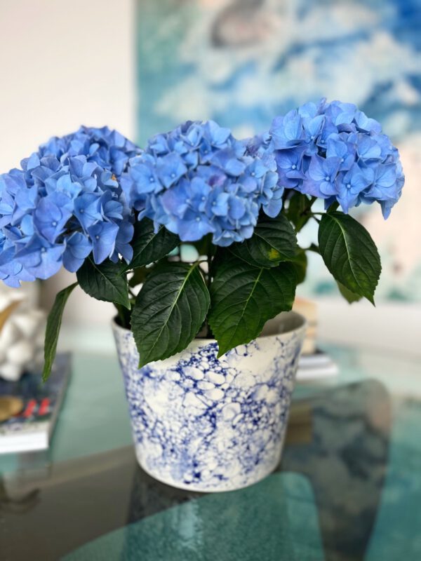 Late Bloomer Flower Pot - Bilde 4