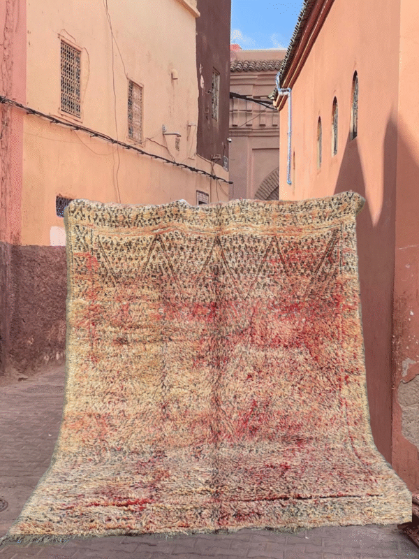 Vintageteppe Melina - Bilde 8