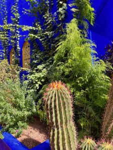 Garden Majorelle bør stå på listen din når du reiser til Marrakech